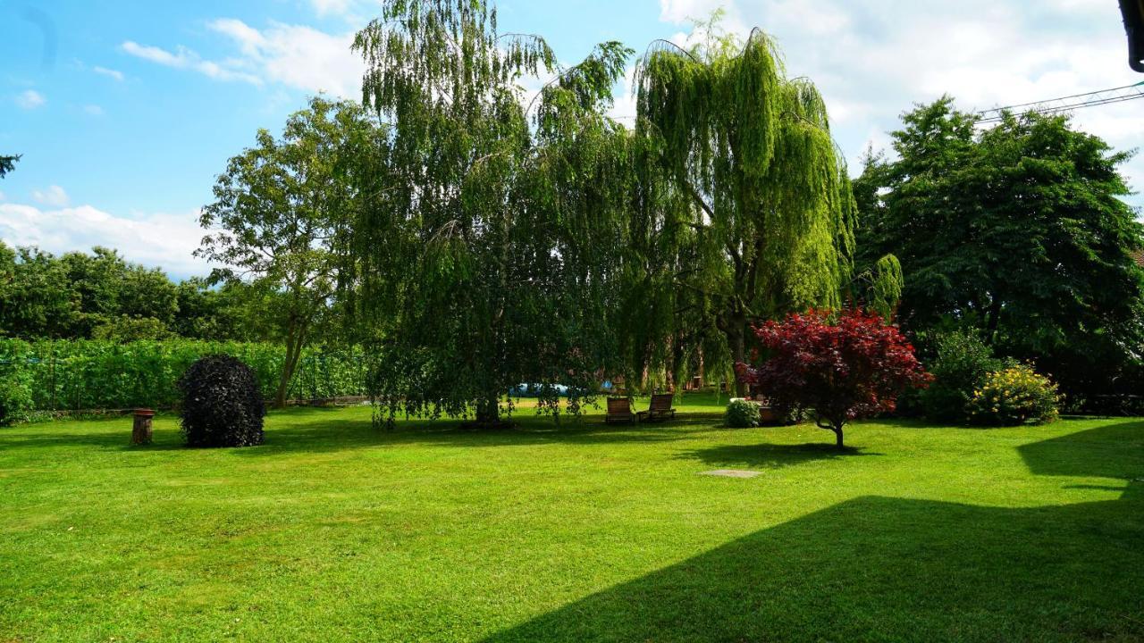 Bed & Breakfast Milu Cuneo