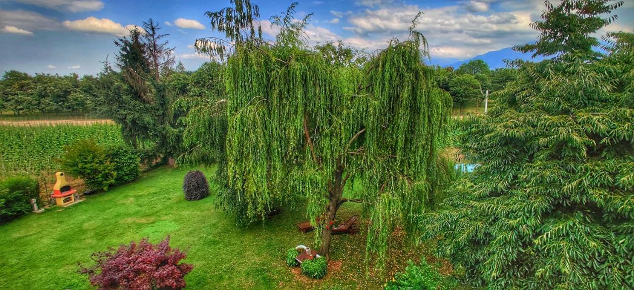 Bed & Breakfast Milu Cuneo