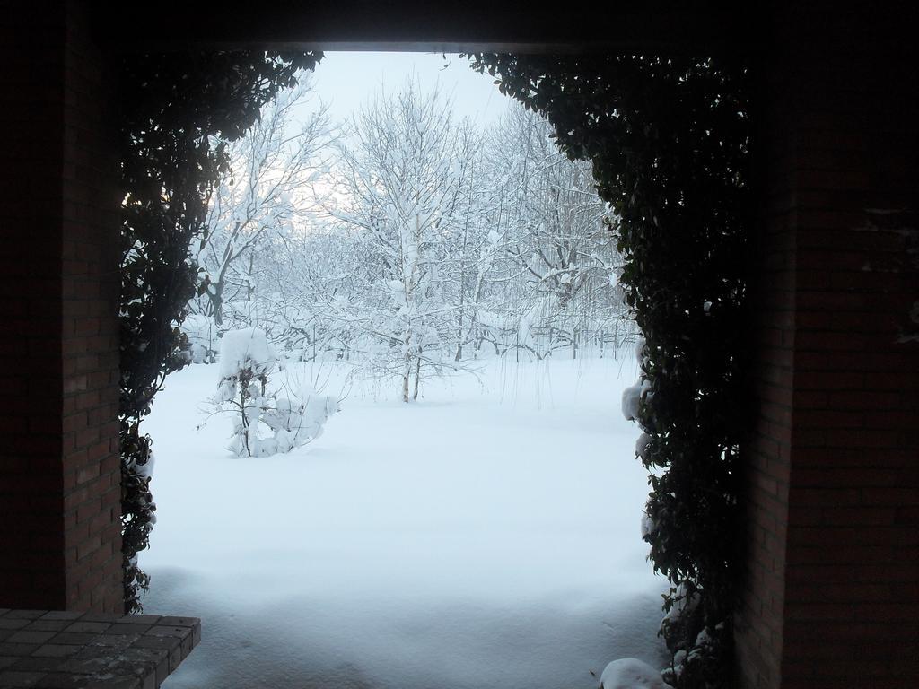 Bed & Breakfast Milu Cuneo